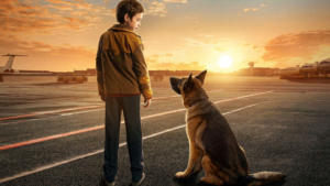 Семейный фильм «Пальма» о дружбе мальчика и собаки вышел в прокат - gtrkamur.ru