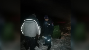 Пожарные из Новобурейска спасли мужчину, который провел ночью в снегу 4 часа - gtrkamur.ru