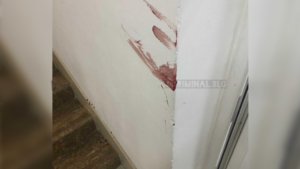 ЧП: стрельба в одном из ночных клубов в центре Благовещенска - gtrkamur.ru