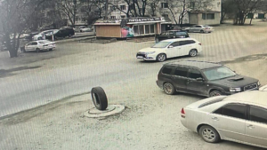В амурской столице водитель авто сбил собаку и уехал - gtrkamur.ru