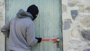 Трое подростков из Белогорска обворовывали дачные участки - gtrkamur.ru