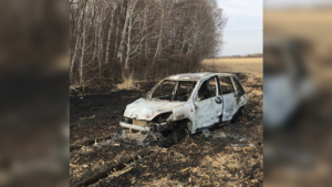 Поездка по полю закончилась для амурчан сгоревшим авто - gtrkamur.ru