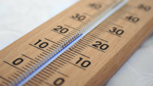 Потеплеет до + 24°С: погода в Приамурье на 22 апреля - gtrkamur.ru
