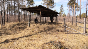 К ликвидации скотомогильников в Свободненском районе приступят с наступлением тепла - gtrkamur.ru