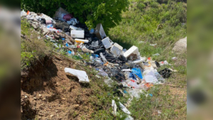 В Благовещенске неизвестный водитель выбросил мусор у обочины и уехал - gtrkamur.ru