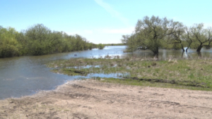 Подъем уровня воды в Селемдже прогнозируют синоптики из-за дождей - gtrkamur.ru