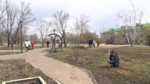 Сад Памяти заложили в чигиринском парке в честь 76 годовщины Великой Победы - gtrkamur.ru