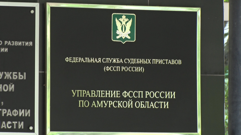 10-летний амурчанин получил необходимые медизделия под контролем приставов - gtrkamur.ru
