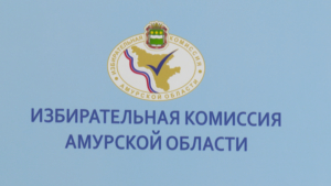 На сентябрьских выборах амурчане смогут голосовать 3 дня - gtrkamur.ru