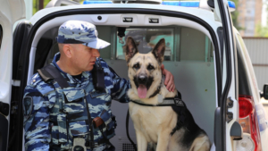 Кинологи органов внутренних дел отмечают свой профессиональный праздник - gtrkamur.ru