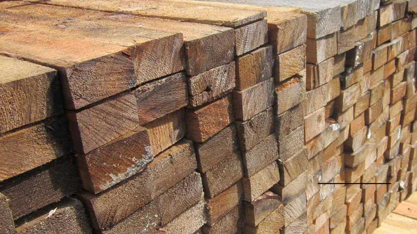 В Ушумунском лесничестве незаконно срубили больше 200 сосен - gtrkamur.ru