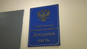 Двое амурчан похитили у собутыльника сотовый телефон и деньги - gtrkamur.ru