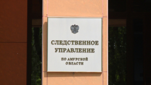 Директор строительной компании в Благовещенске несколько месяцев не платил зарплату сотрудникам - gtrkamur.ru
