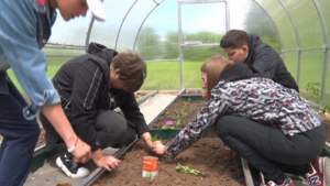 Амурских ребят с ОВЗ научили выращивать овощи - gtrkamur.ru