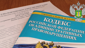 Сотрудника амурского предприятия за нарушение ветеринарно-санитарных правил привлекли к административной ответственности - gtrkamur.ru
