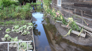 В Бурейском районе дома и дворы освобождаются от воды - gtrkamur.ru