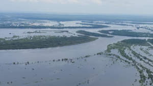 Почти 150 огородов и 28 домов за день освободились от воды в Амурской области - gtrkamur.ru