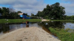 В Мазановском районе работают 70 спасателей из Московской области - gtrkamur.ru