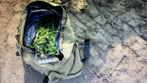 Рюкзак с марихуаной: на автодороге в Архаринском районе задержали двух мужчин, перевозивших наркотики - gtrkamur.ru