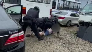 Дело на 10 миллионов: В Благовещенске будут судить преступную четвёрку за кражу у иностранки - gtrkamur.ru