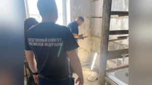 Полуторагодовалого ребёнка убило током в Белогорске - gtrkamur.ru