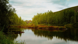 Небольшие и умеренные дожди пройдут в некоторых районах области 15 сентября - gtrkamur.ru