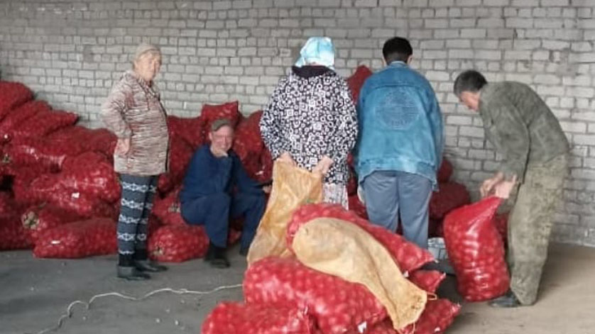 Почти центнер овощей получат амурчане, лишившиеся урожая после паводка - gtrkamur.ru