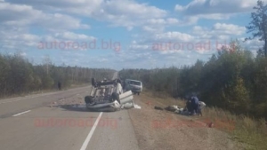 Отвалилось колесо: в Амурской области при опрокидывании «лады» пострадал человек - gtrkamur.ru