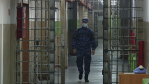 Амурчанин убил соперника в любовных делах - gtrkamur.ru