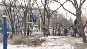 Жители Моховой Пади пожаловались на самодельные тарзанки для детей - gtrkamur.ru