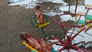 Головы коров обнаружили на детской площадке жильцы благовещенской многоэтажки - gtrkamur.ru