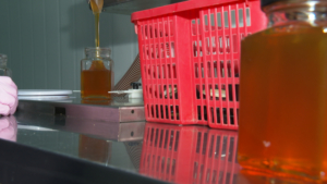 Амурские экспортеры могут получить господдержку на сертификацию продукции - gtrkamur.ru