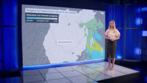 Сильный ветер не даст образоваться сугробам: синоптики эксклюзивно для ГТРК «Амур» - gtrkamur.ru