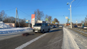 Суд вынес приговор водителю, по вине которого погиб пешеход в Благовещенске - gtrkamur.ru