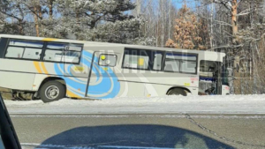 В Благовещенске маршрутный автобус съехал в кювет - gtrkamur.ru