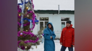 Перед окнами амурских ковидных госпиталей устанавливают новогодние ёлки - gtrkamur.ru