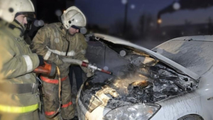 В Тамбовском районе четыре огнеборца тушили автомобиль - gtrkamur.ru