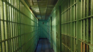 В Благовещенске агрессивного водителя отправили под арест почти до Нового года - gtrkamur.ru