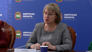 Региональный Минобр об аниматорах и фотографах на новогодних утренниках: Наша позиция – крайне нежелательно - gtrkamur.ru