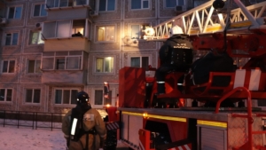 121 спасённый, 59 пострадавших, 61 погибший: в МЧС рассказали о жертвах пожаров в Амурской области - gtrkamur.ru