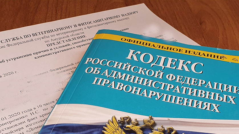 Не хочу учиться: мать подростка наказали за нежелание сына ходить в школу - gtrkamur.ru