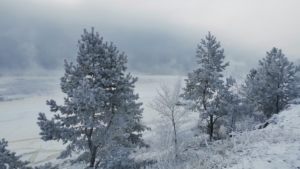 От –15 градусов и ниже: прогноз погоды в Амурской области на 14 января - gtrkamur.ru