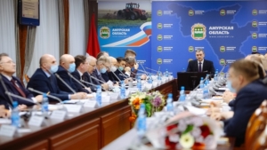 Амурские пригороды смогут участвовать в программе инициативного бюджетирования - gtrkamur.ru