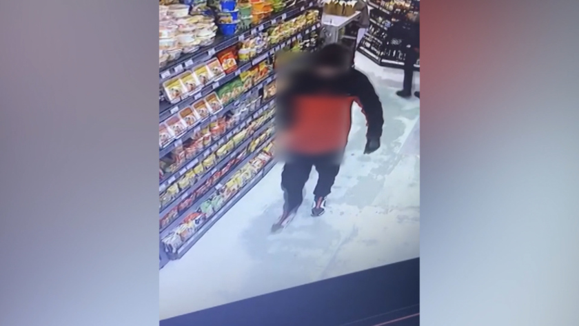 Подозреваемого в попытке похищения ребенка в Благовещенске выдала яркая одежда - gtrkamur.ru