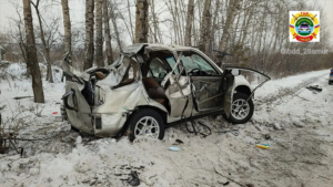 Трое пострадавших, один погибший: под Райчихинском автомобиль столкнулся с деревом - gtrkamur.ru