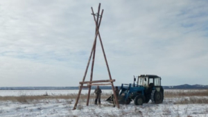 Опоры для гнезд аистов восстановили в трех заказниках региона - gtrkamur.ru