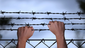 Заключенный проведет в тюрьме ещё почти 6 лет за побег - gtrkamur.ru