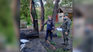 11 лет в тюрьме проведет поджигатель из Константиновки, который чуть не погубил мать с двумя детьми - gtrkamur.ru