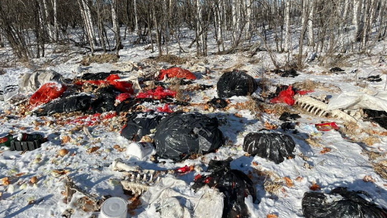 За стихийную свалку в Желтоярово глава муниципалитета получил прокурорское представление - gtrkamur.ru