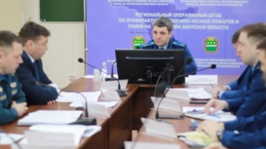 Прокурор Амурской области призвал усилить меры по защите региона от пожаров - gtrkamur.ru